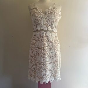 Windsor White Lace Overlay Dress